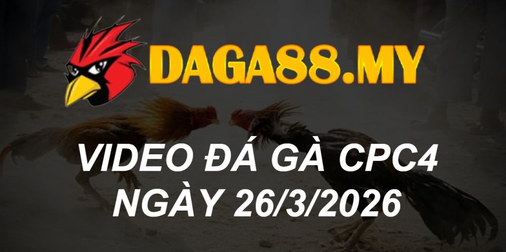 VIDEO GÀ CPC4 NGÀY 26/3/2026